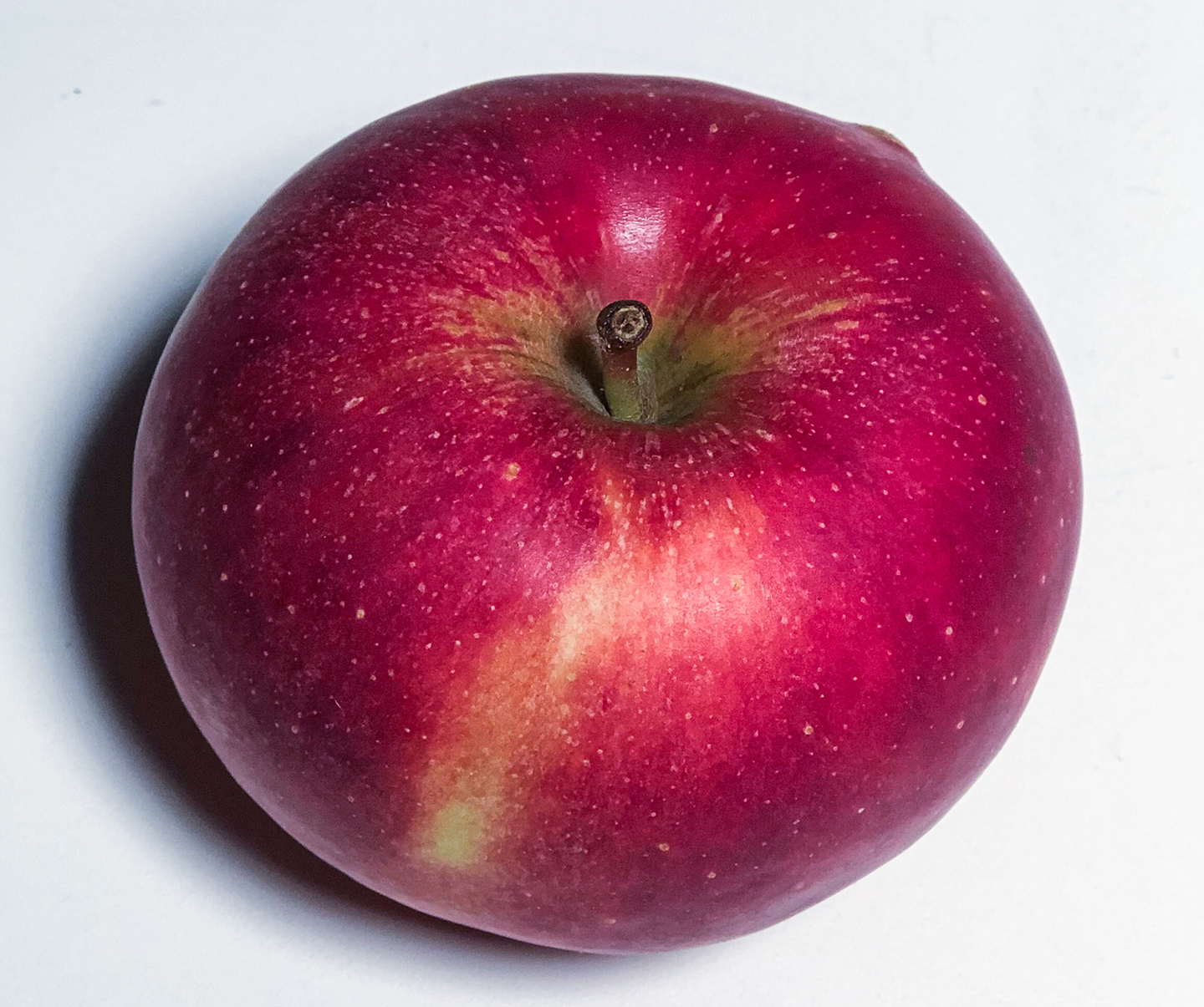 ESSENTIAL INGREDIENT: Full Menu "F'All" About Apples! (Vegetarian/Meat)